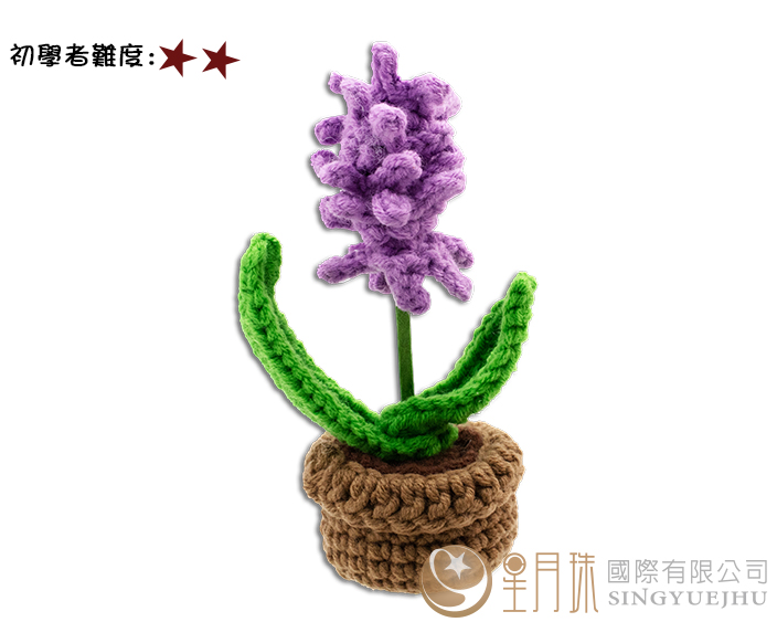 療癒小盆栽-風信子(C0058) 