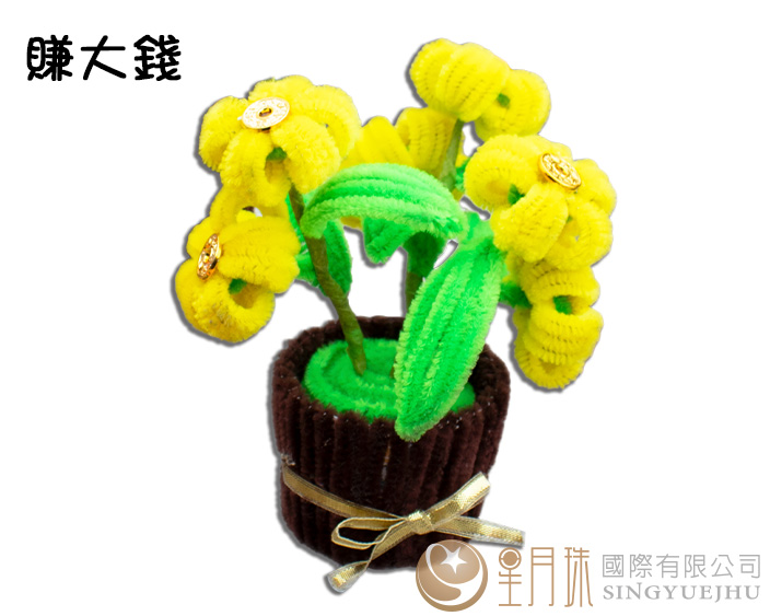 DIY柿柿蘋安賺大錢小盆栽-1入(錢花)(J0014)